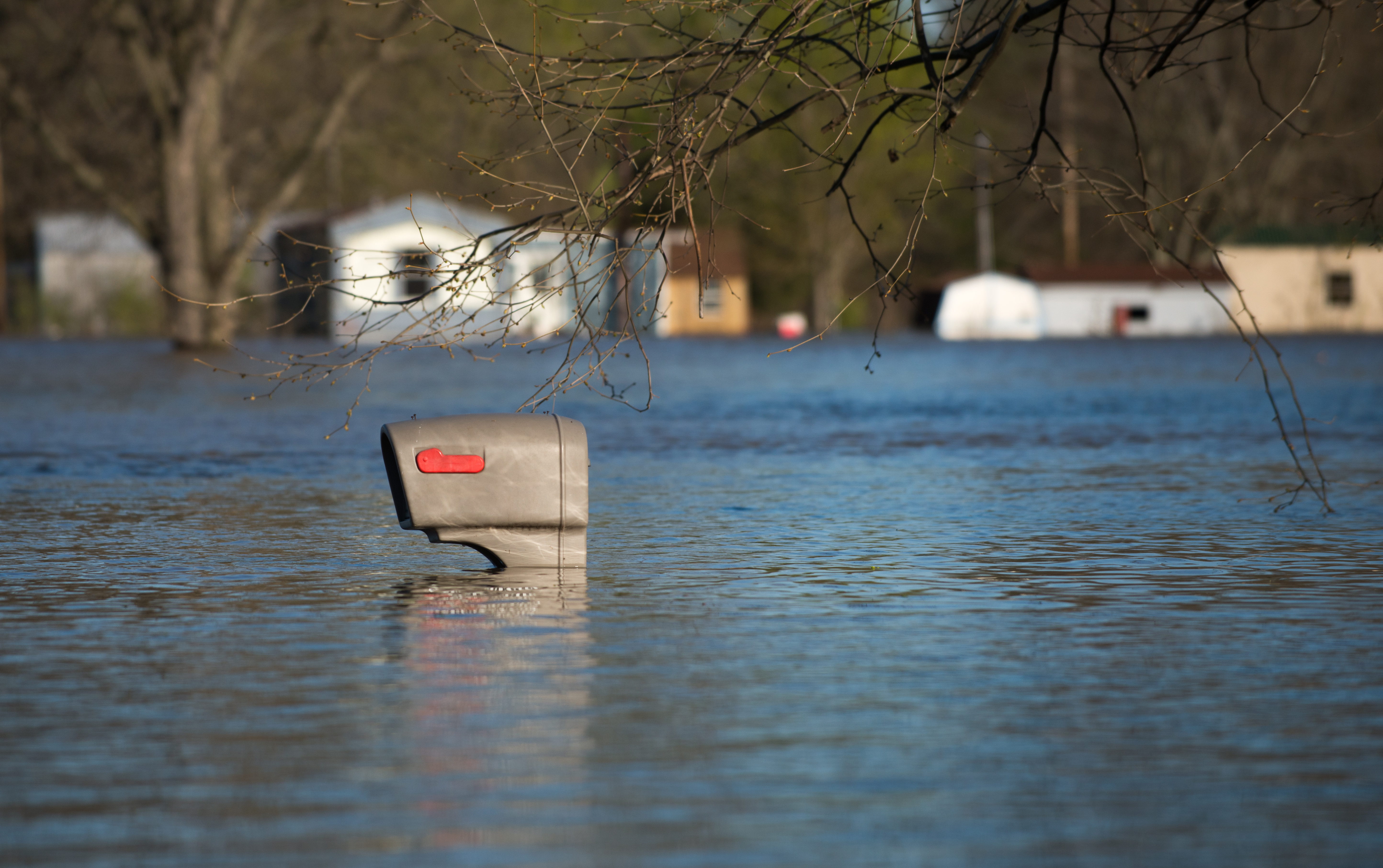 Save National Flood Insurance by Investing in Nature