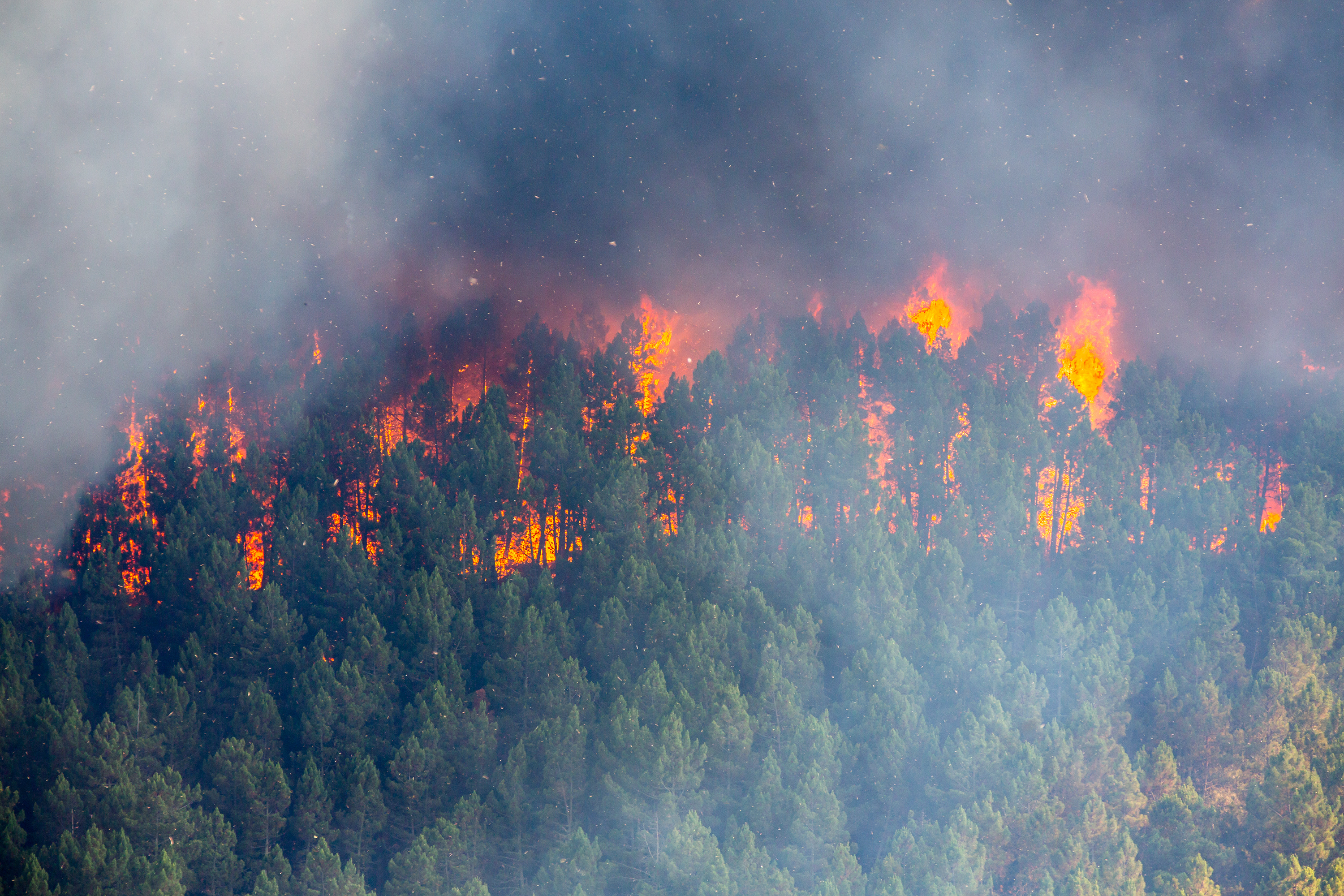 SmarterSafer Unveils Comprehensive Wildfire Policy Platform