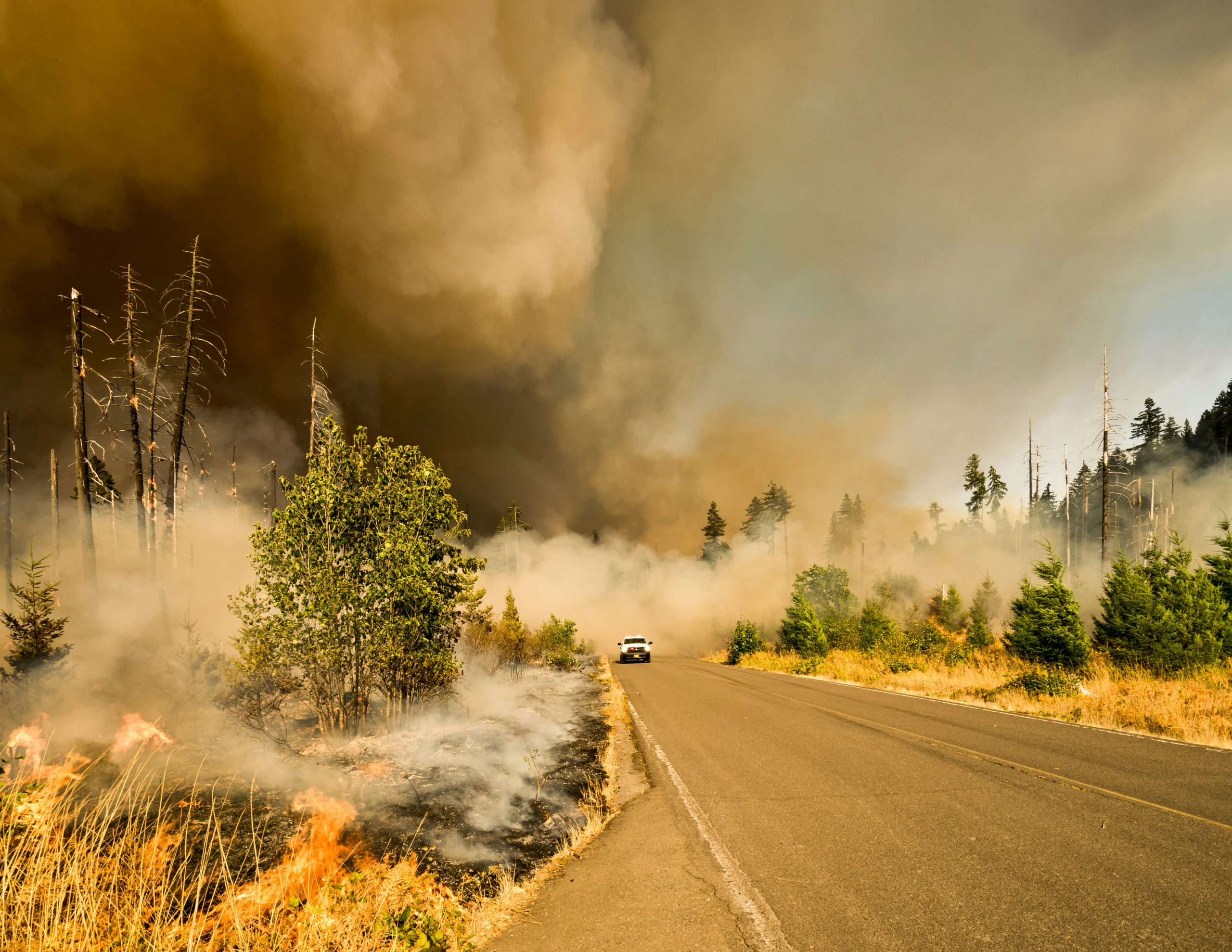SmarterSafer Coalition Releases Statement in Recognition of National Preparedness Month