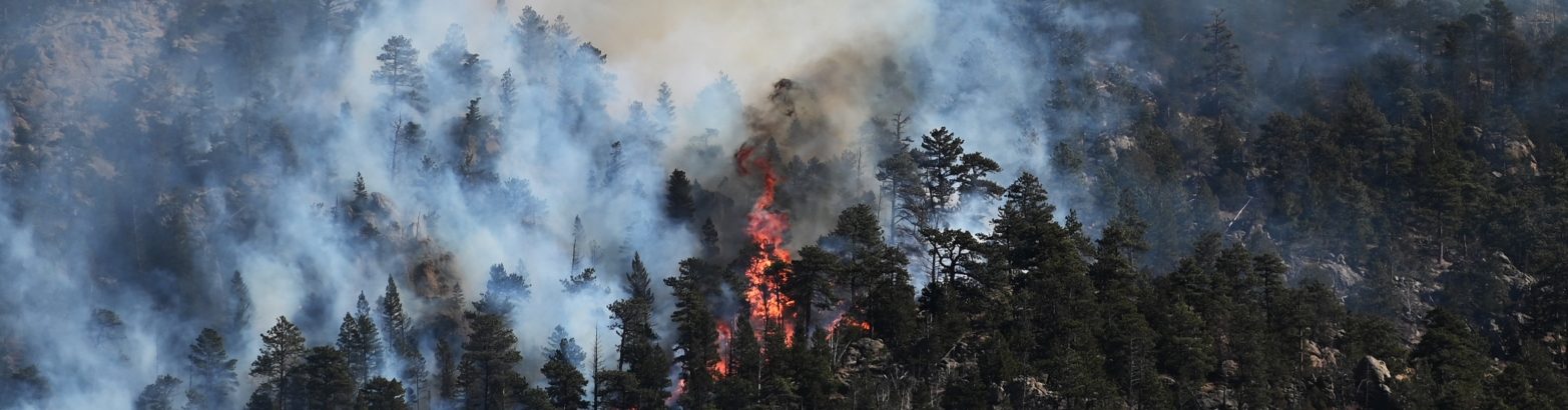 Denver Post Opinion: Right public policies can ensure wildfires are not the new normal