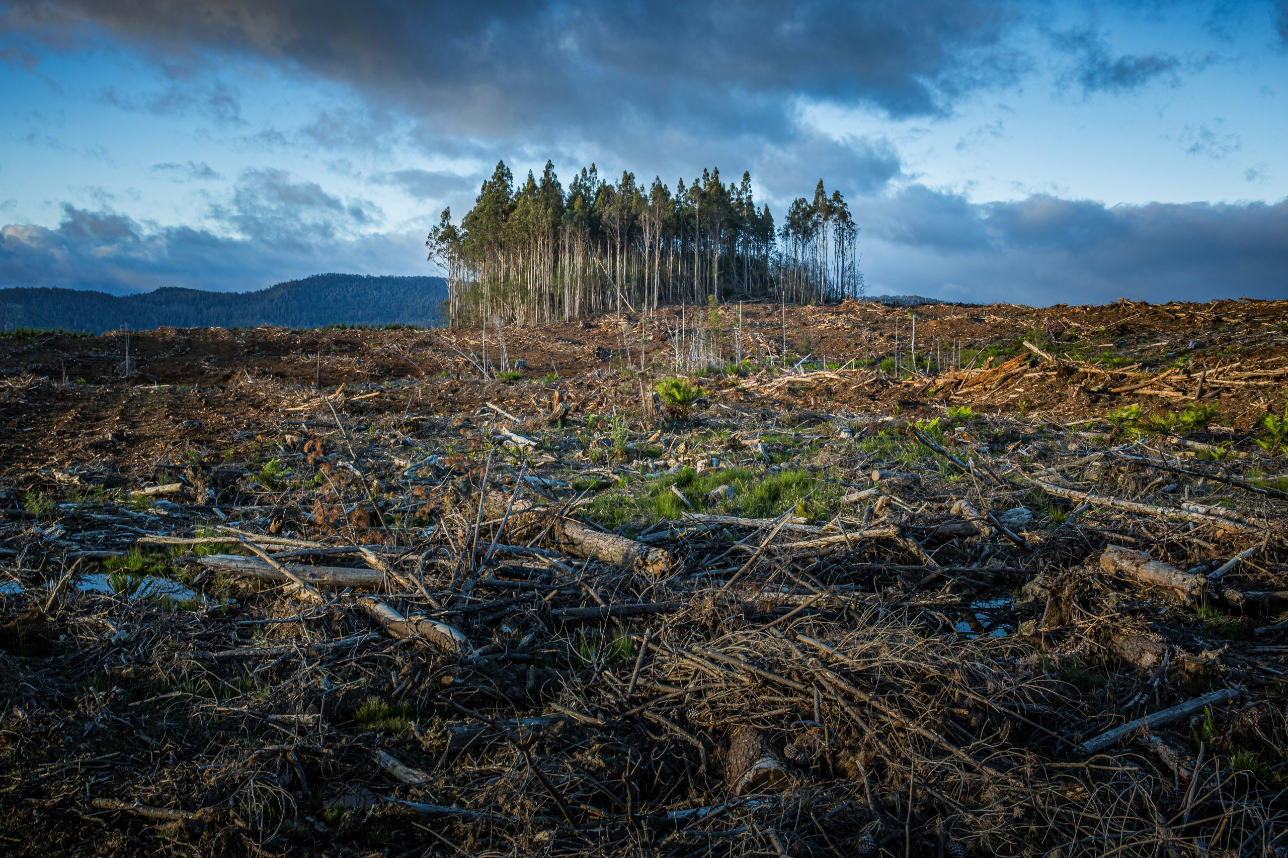 SmarterSafer Coalition Acknowledges Progress Made Toward Climate Resilience in the Inflation Reduction Act