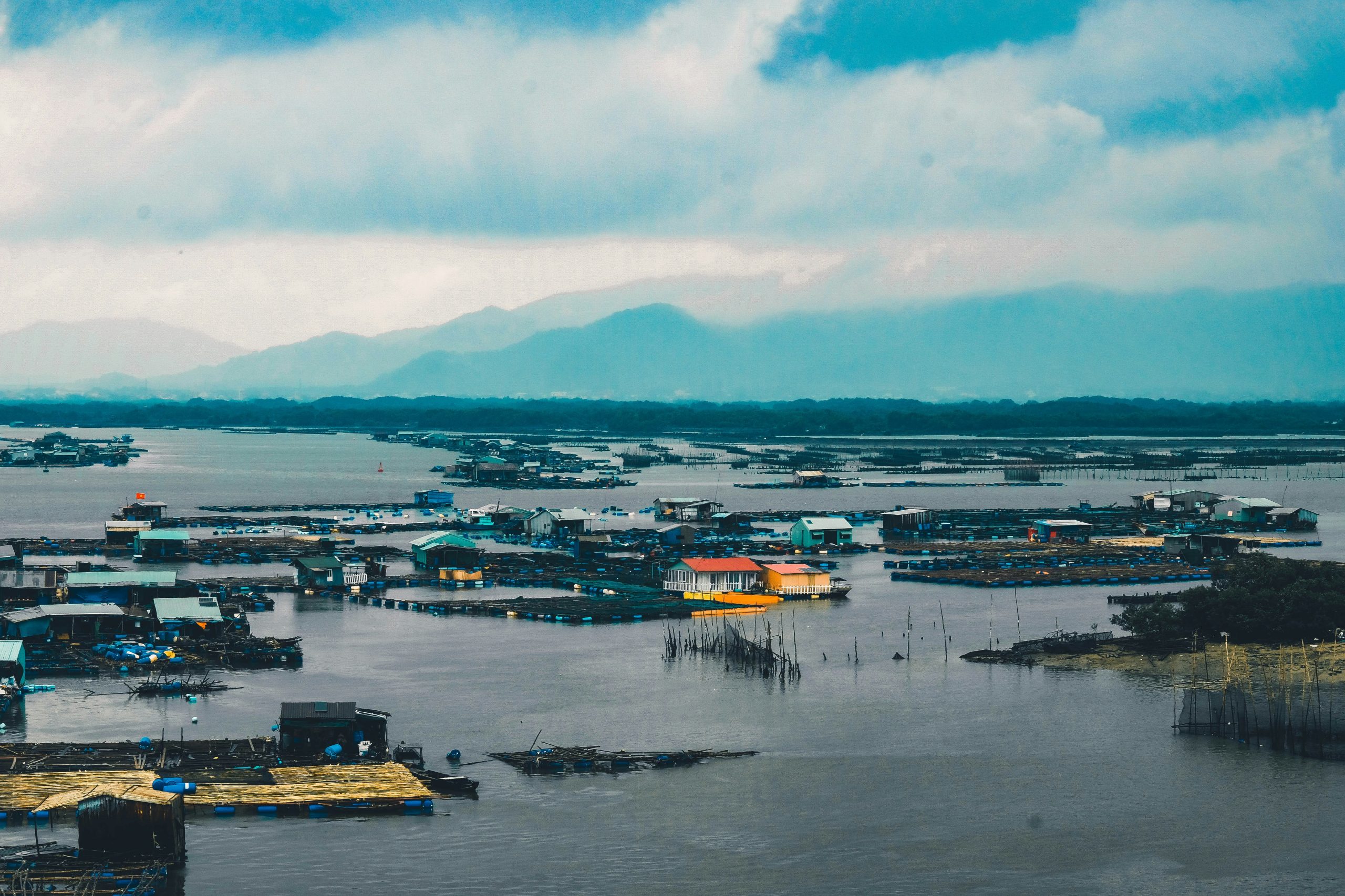 SmarterSafer Coalition Urges FEMA to Swiftly Update Floodplain Management Standards