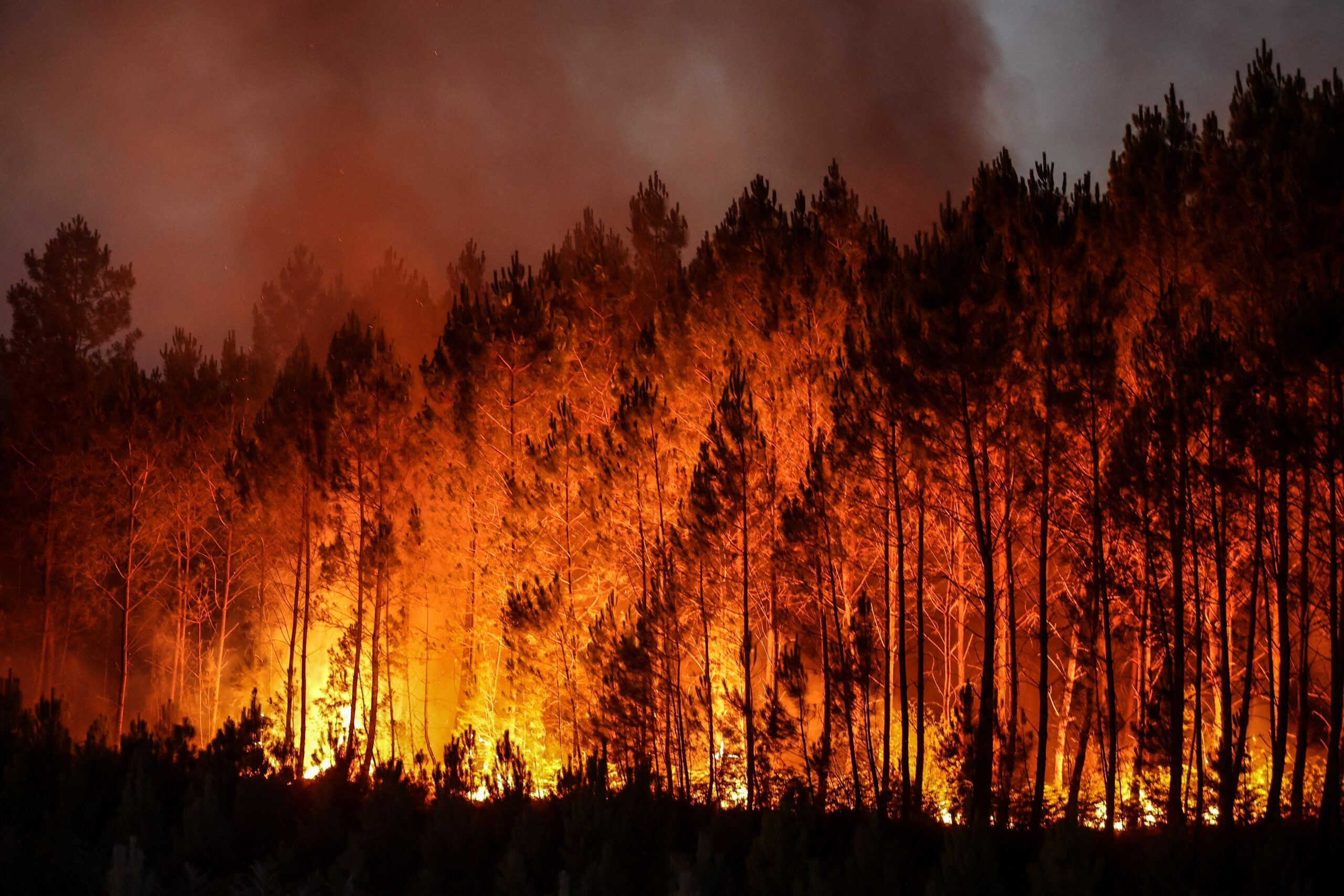 SmarterSafer Coalition Releases 2024 Wildfire Priorities